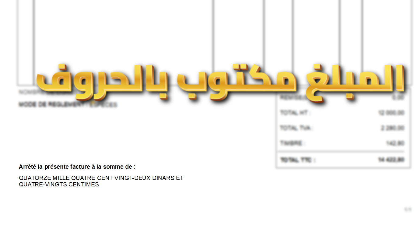 برنامج دوليسوفت للفوترة 2025